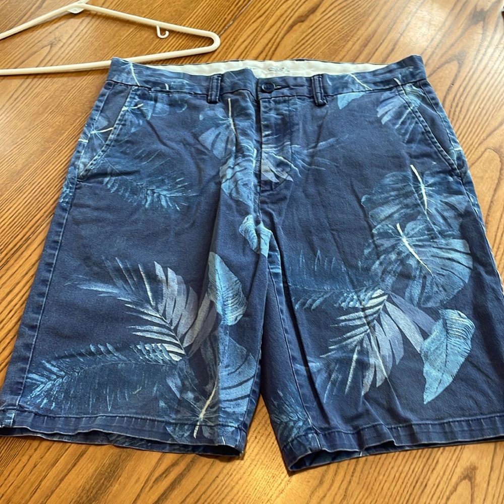 Men’s Shorts Blues/White Old Navy 34